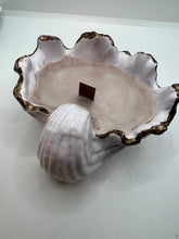 Load image into Gallery viewer, Organic Soy Candles in Shell