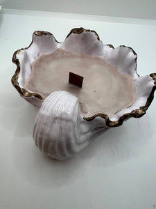 Organic Soy Candles in Shell